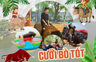Cưỡi bò tót